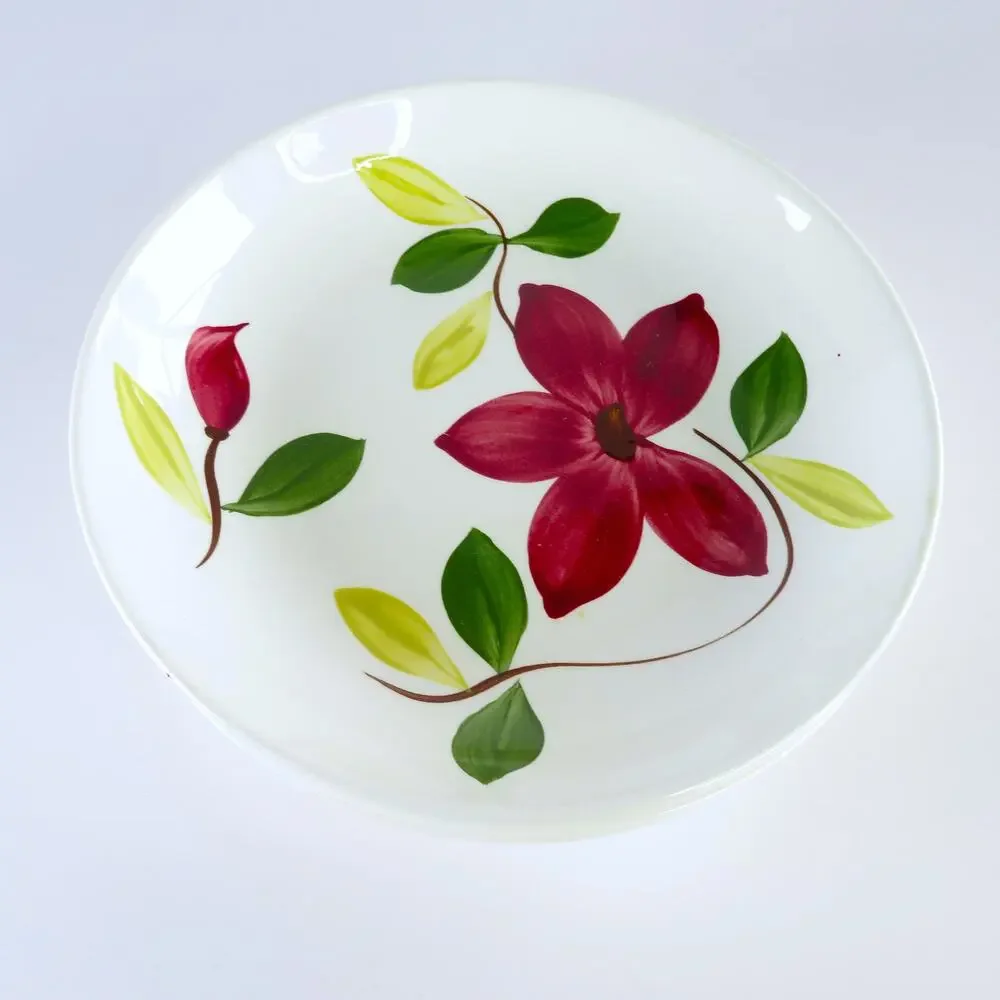 Vintage Stetson Rio Meadow Rose 20 Pc Dinnerware Set Service for 4 MCM USA